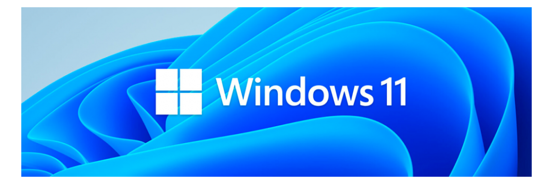 Windows 11