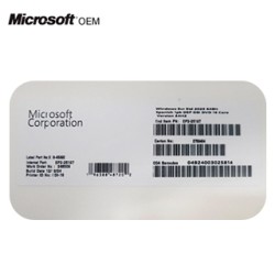 WINDOWS SVR STD 2025 64BIT 1PK